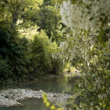 Ferienhaus Glamping Dragonja River *