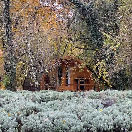 Glamping Dragonja River *