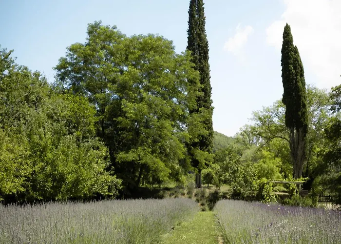 Ferienhaus Glamping Dragonja River