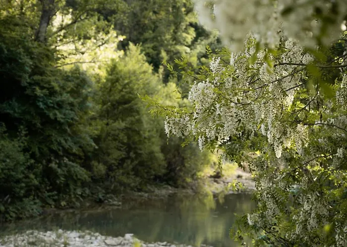 Feriehus Glamping Dragonja River *